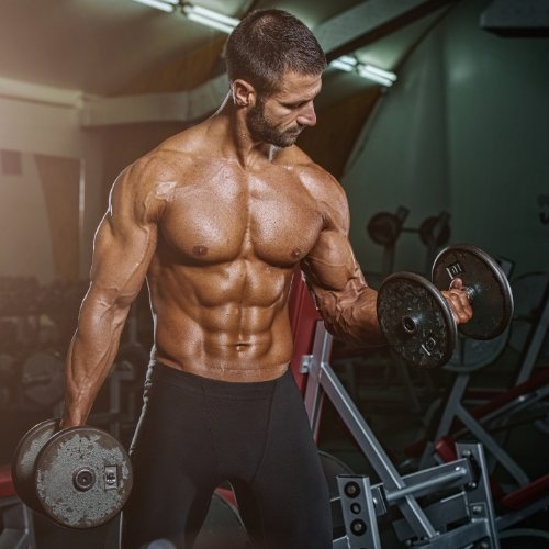 GYM & Fitness
